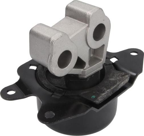 Tedgum 00504657 - Suport motor aaoparts.ro