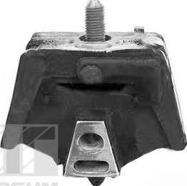 Tedgum 00504606 - Suport, transmisie automata aaoparts.ro