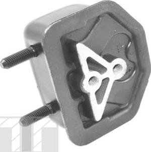 Tedgum 00500590 - Suport motor aaoparts.ro