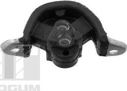 Tedgum 00500616 - Suport motor aaoparts.ro