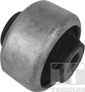 Tedgum 00518660 - Suport,trapez aaoparts.ro