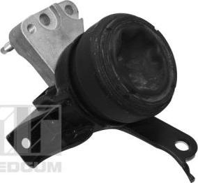 Tedgum 00671167 - Suport motor aaoparts.ro