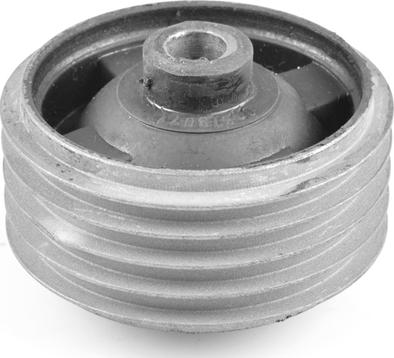 Tedgum 00673071 - Suport motor aaoparts.ro