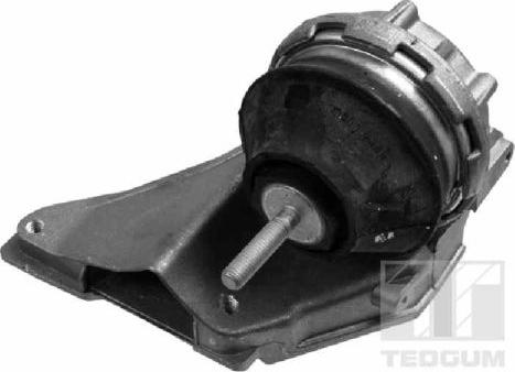 Tedgum 00055597 - Suport motor aaoparts.ro