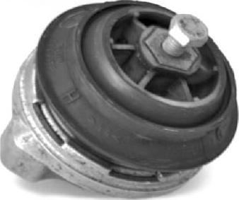 Tedgum 00055159 - Suport motor aaoparts.ro