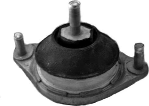 Tedgum 00050079 - Suport motor aaoparts.ro