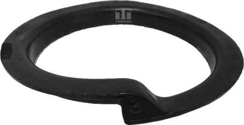 Tedgum 00083425 - Saiba arc aaoparts.ro