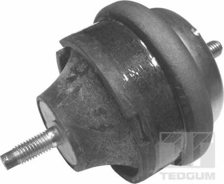 Tedgum 00145015 - Suport motor aaoparts.ro