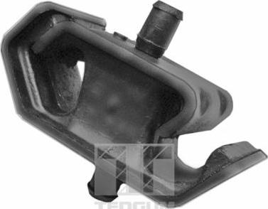 Tedgum 00162175 - Suport motor aaoparts.ro