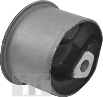 Tedgum 00133801 - Suport motor aaoparts.ro