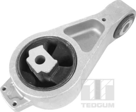 Tedgum 00133209 - Suport motor aaoparts.ro