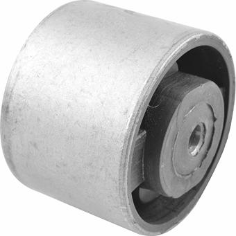 Tedgum 00125831 - Suport motor aaoparts.ro