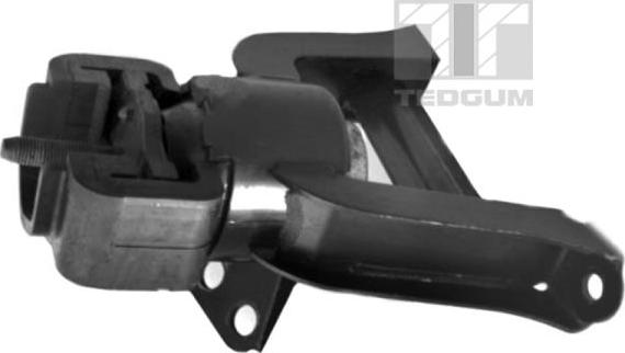 Tedgum 00391636 - Suport motor aaoparts.ro