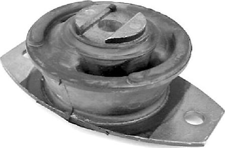 Tedgum 00373148 - Suport motor aaoparts.ro