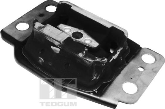 Tedgum 00225660 - Suport motor aaoparts.ro