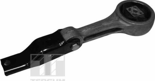 Tedgum 00725449 - Suport motor aaoparts.ro