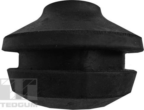 Tedgum 00728182 - Suport motor aaoparts.ro
