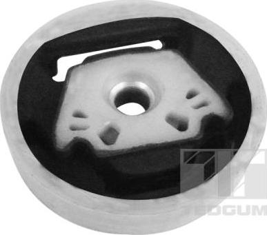 Tedgum 00728393 - Suport motor aaoparts.ro