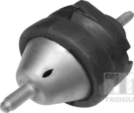 Tedgum 01296915 - Suport motor aaoparts.ro