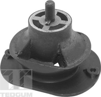 Tedgum TED40521 - Suport motor aaoparts.ro