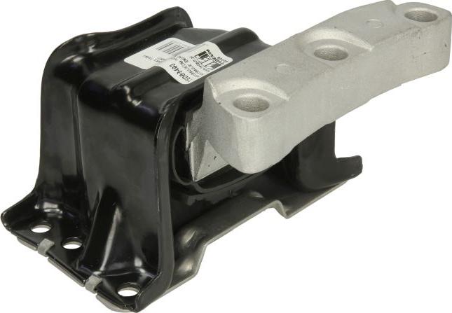 Tedgum TED80493 - Suport motor aaoparts.ro