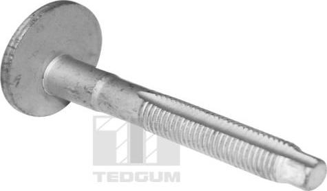 Tedgum TED39597 - Surub aaoparts.ro