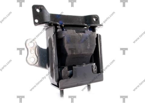 Tenacity AWSGM1008 - Suport motor aaoparts.ro