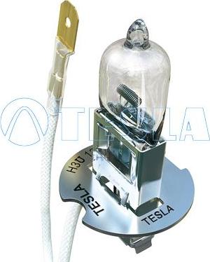 TESLA B10301 - Bec, far faza lunga aaoparts.ro
