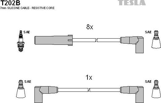 TESLA T202B - Set cablaj aprinder aaoparts.ro
