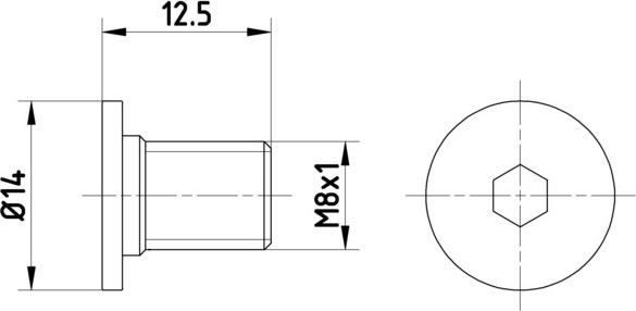 Textar TPM0002 - Surub, disc frana aaoparts.ro