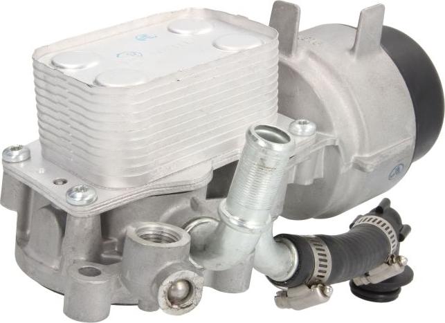 Thermotec D4C006TT - Radiator ulei, ulei motor aaoparts.ro