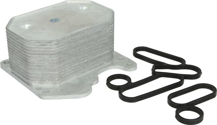 Thermotec D4G014TT - Radiator ulei, ulei motor aaoparts.ro