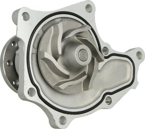 Thermotec D19024TT - Pompa apa aaoparts.ro