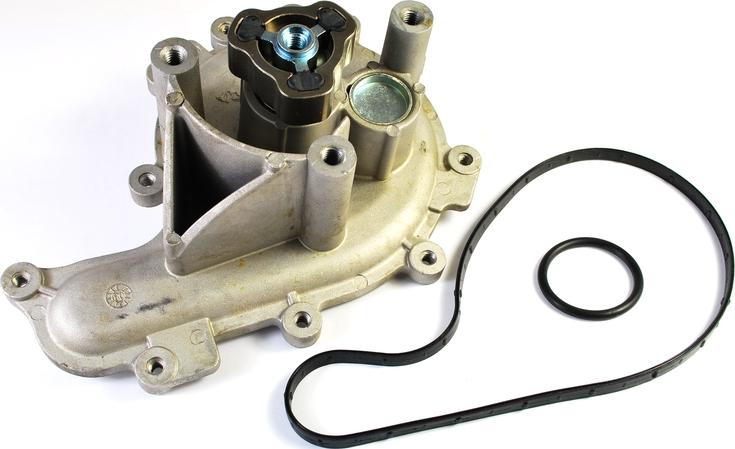 Thermotec D1P041TT - Pompa apa aaoparts.ro