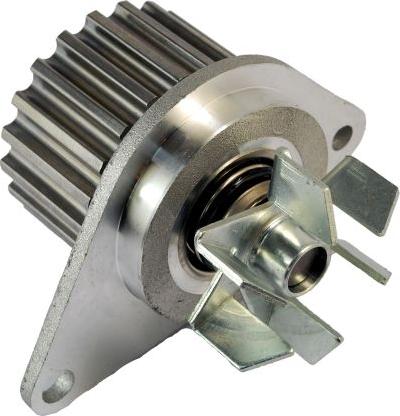 Thermotec D1P012TT - Pompa apa aaoparts.ro