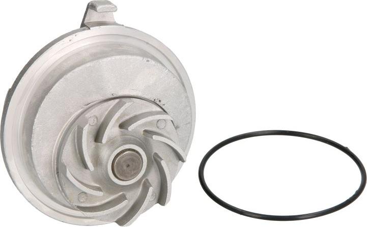 Thermotec D1X020TT - Pompa apa aaoparts.ro