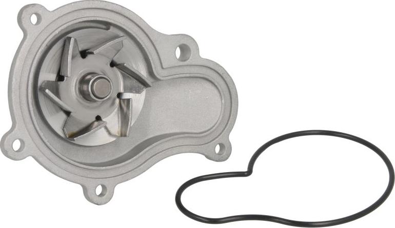 Thermotec D1Y001TT - Pompa apa aaoparts.ro