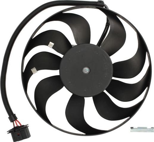 Thermotec D8W043TT - Ventilator, radiator aaoparts.ro