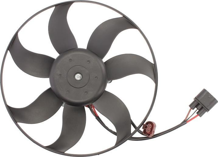 Thermotec D8W036TT - Ventilator, radiator aaoparts.ro