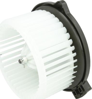 Thermotec DD2001TT - Ventilator, habitaclu aaoparts.ro