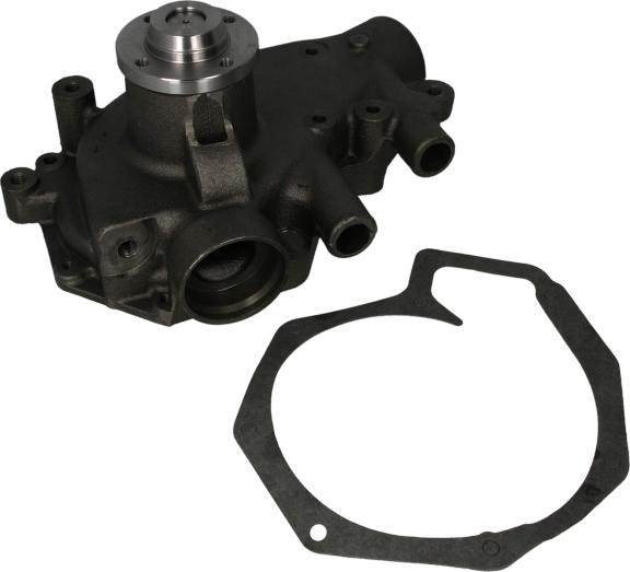 Thermotec WP-DF106 - Pompa apa aaoparts.ro