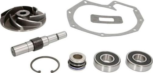 Thermotec WP-DF101RK - Set reparatie, pompa apa aaoparts.ro