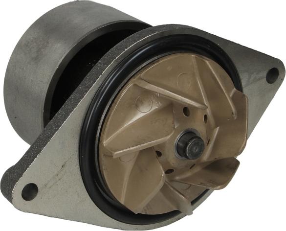 Thermotec WP-IV110 - Pompa apa aaoparts.ro