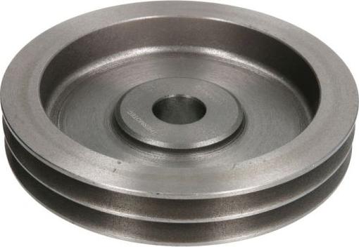 Thermotec WP-MN114RK - Fulie, pompa apa aaoparts.ro