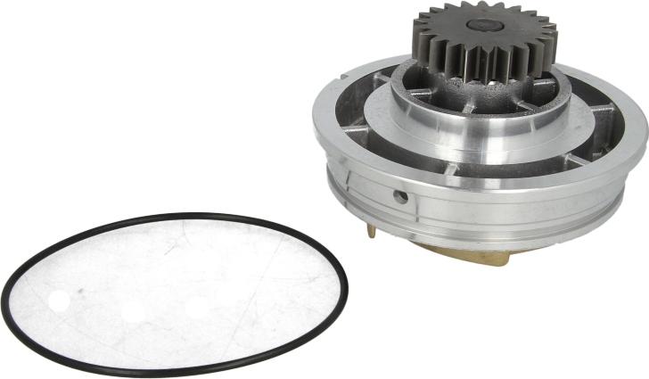 Thermotec WP-RV105 - Pompa apa aaoparts.ro