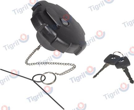 TIGRIL DB22.0001 - Buson,rezervor de combustibil aaoparts.ro