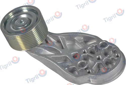 TIGRIL VO01.0040 - Rola ghidare / conducere, curea transmisie aaoparts.ro