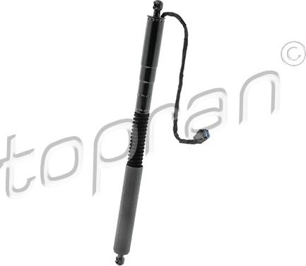 Topran 633 234 - Motor electric, haion aaoparts.ro