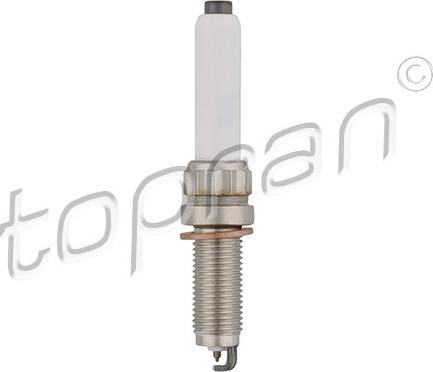 Topran 629 901 - Bujii aaoparts.ro