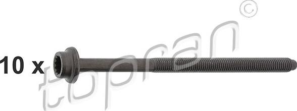 Topran 109 548 - Set surub, chiulasa aaoparts.ro